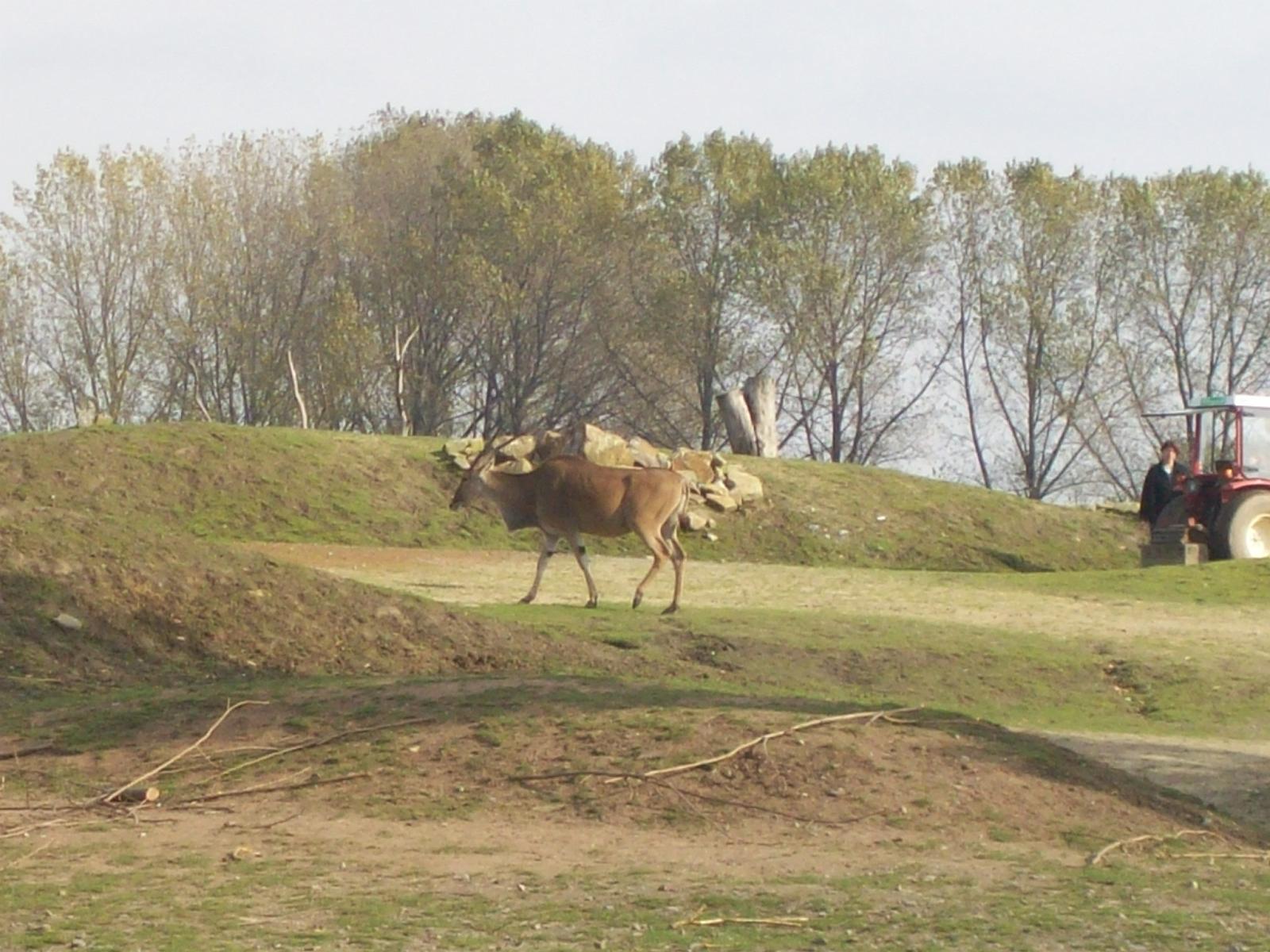 Zoom 18.10.2008-070.jpg
